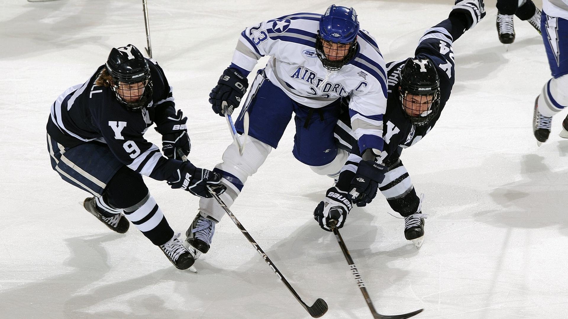 _天幕飞盘:空中运动的艺术之旅_,史上最全的天幕搭建大全